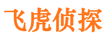 晋安市侦探调查公司